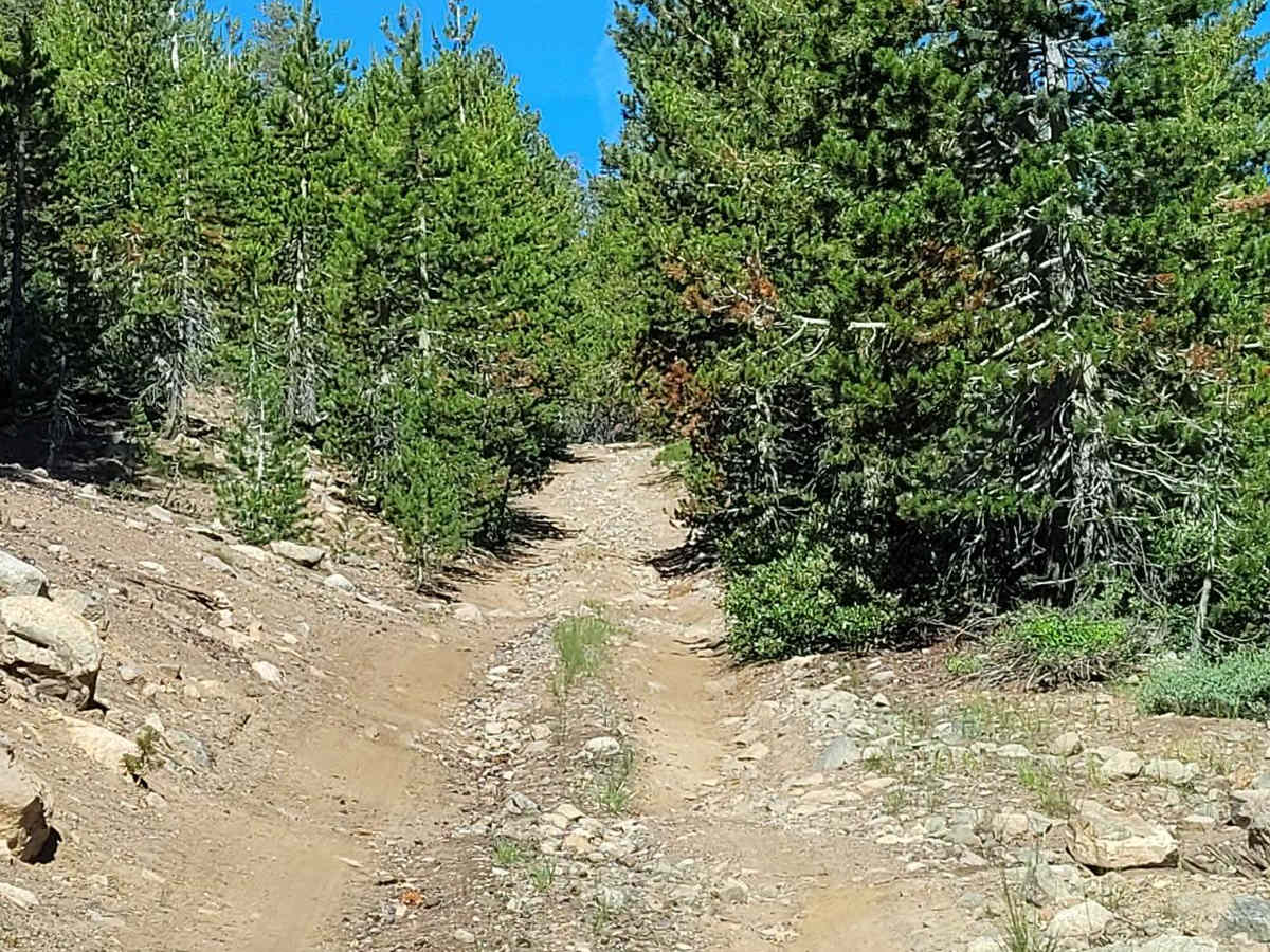 Chango Lake - FS32062 photo 6