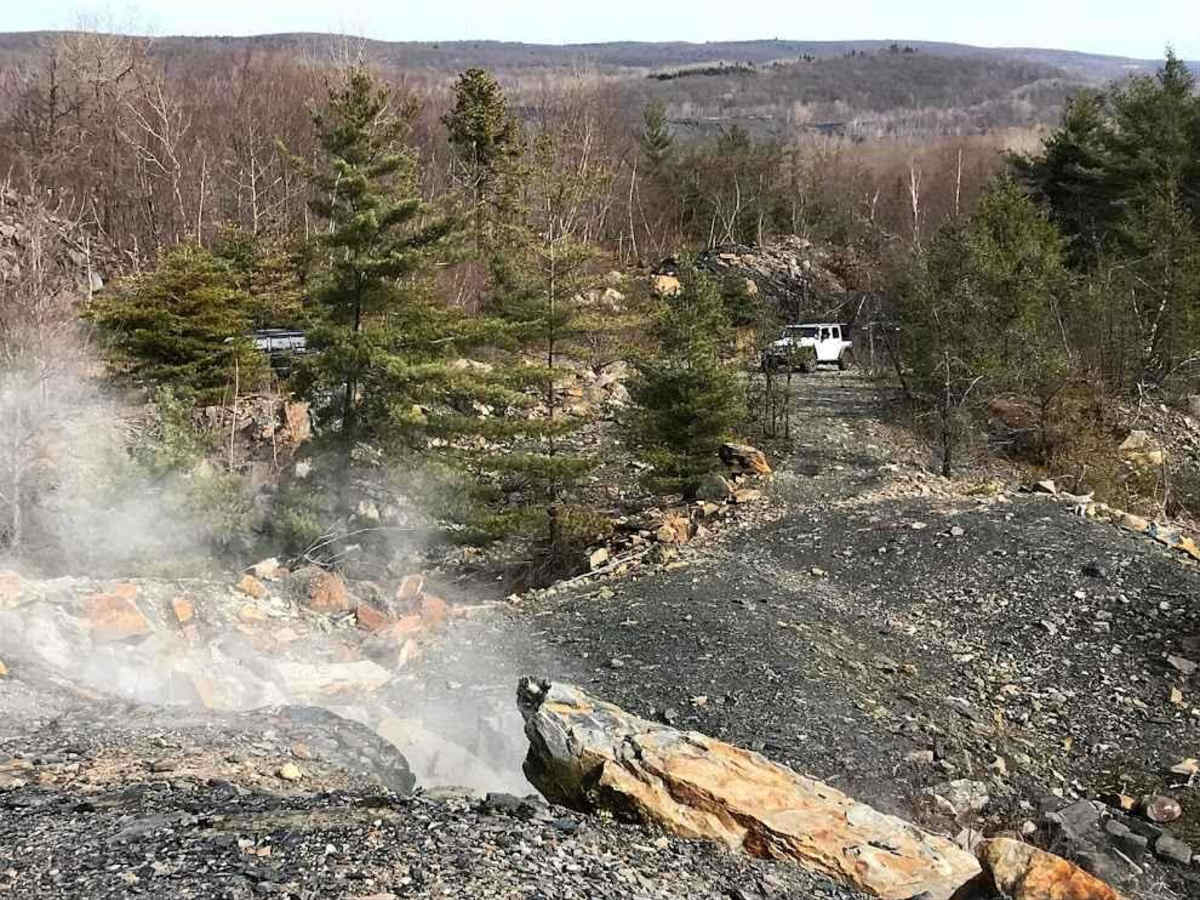 Locust Gap 56 photo 2