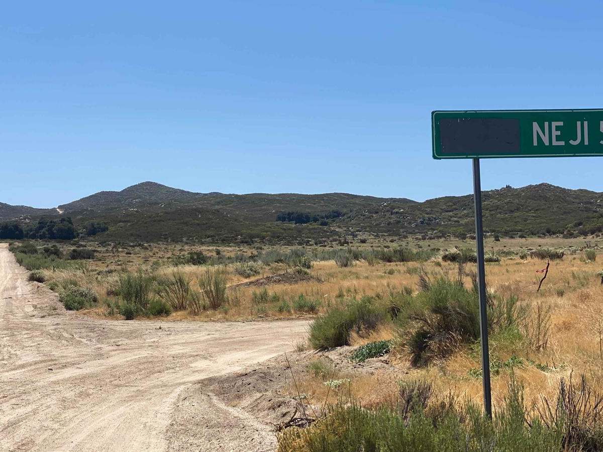Old El Compadre Loop photo 2