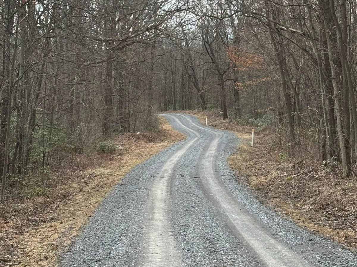 Allen Dam Road photo 6