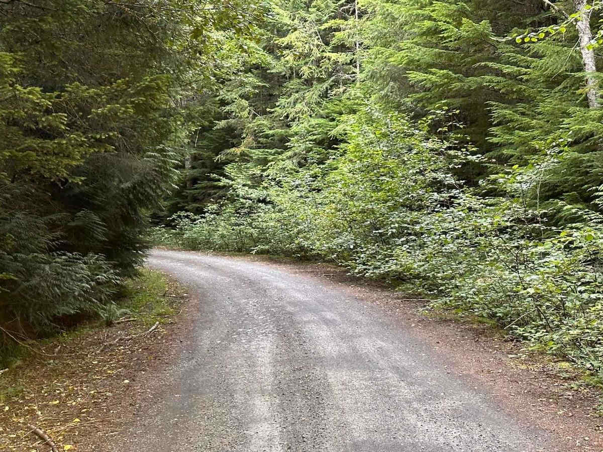 Echo Lake Road - NF 7220 photo 2