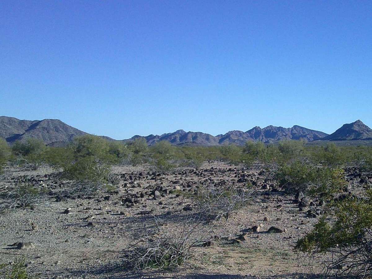 Rocky Camp photo 5