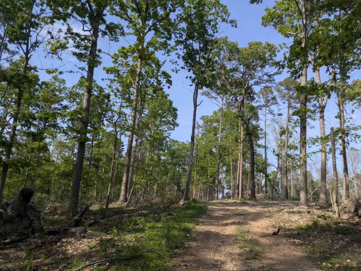 Bee Branch Road photo 5