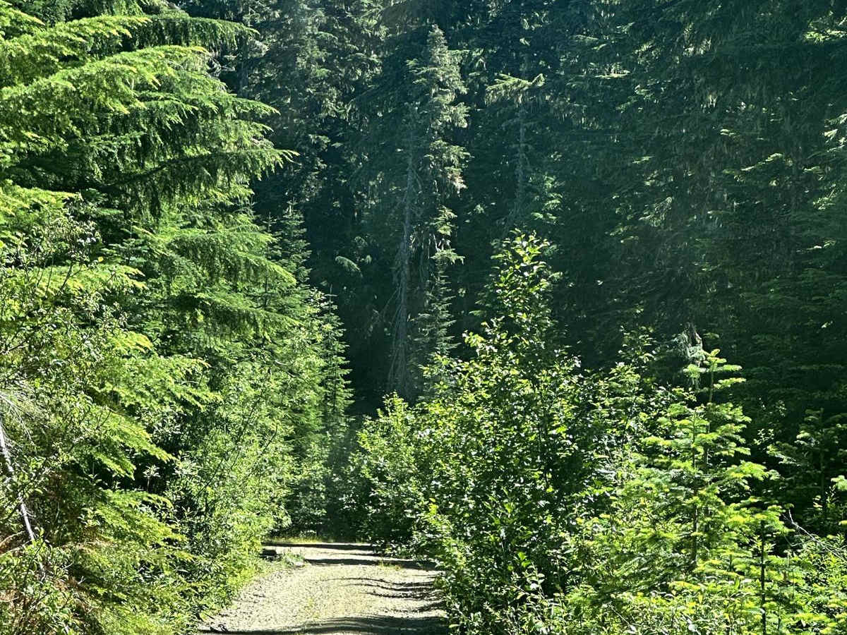 Snyder Mountain Trail photo 5