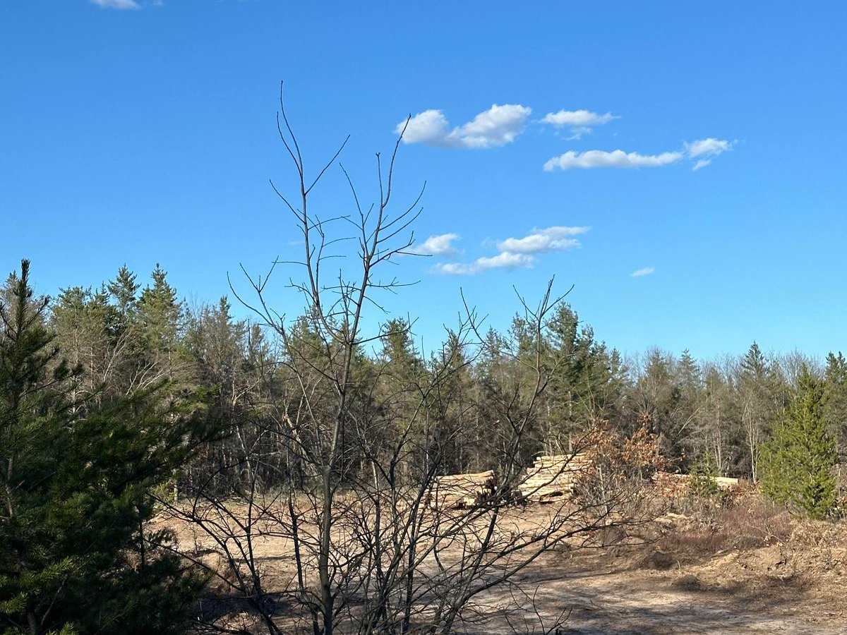 Small Road trail photo