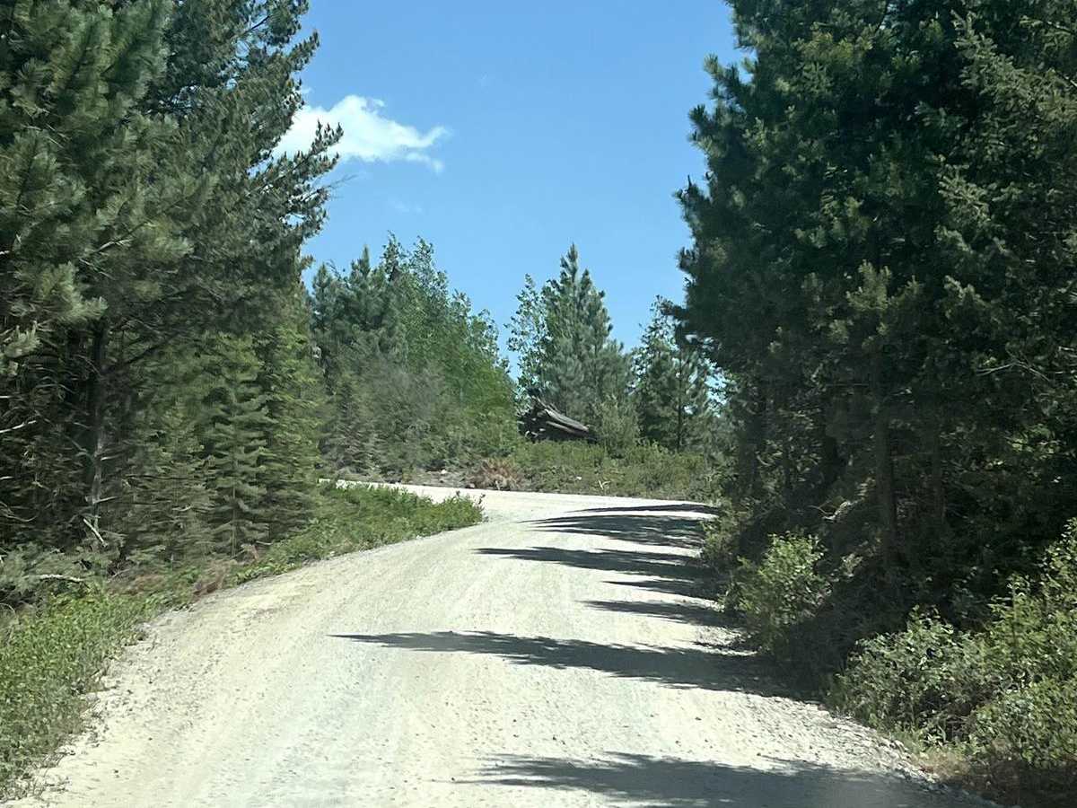 Bowman Lake Road photo 2