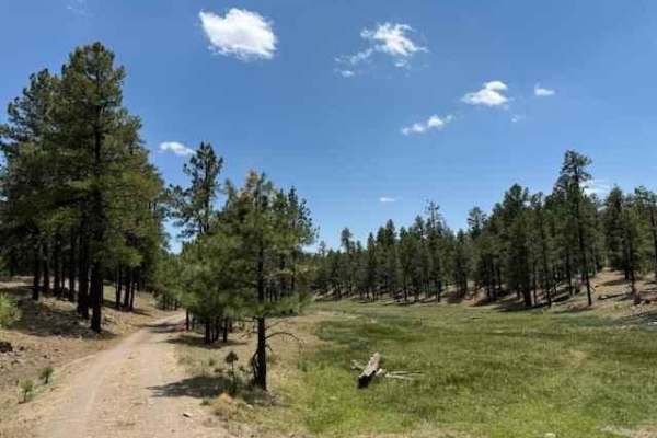 Meadow Loop
