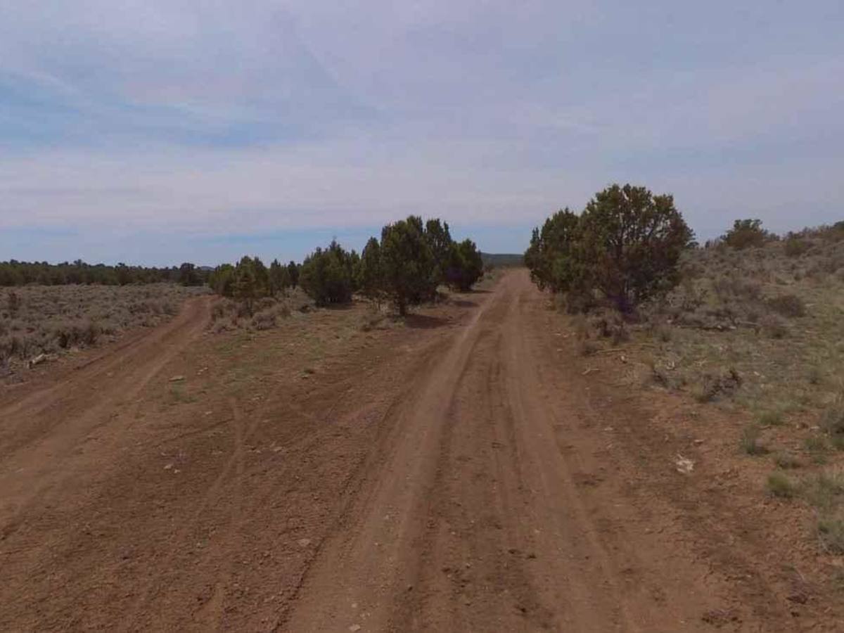 Dixie National Forest-FR30875 trail photo
