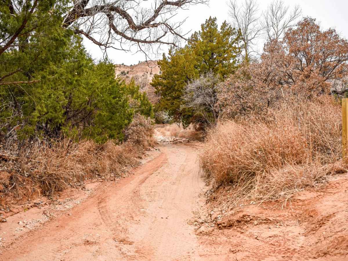 The Meadows Camp Trail photo 5