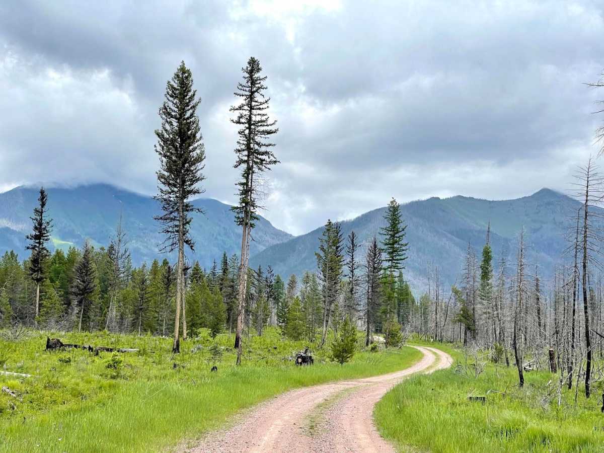 East Morrell trail photo