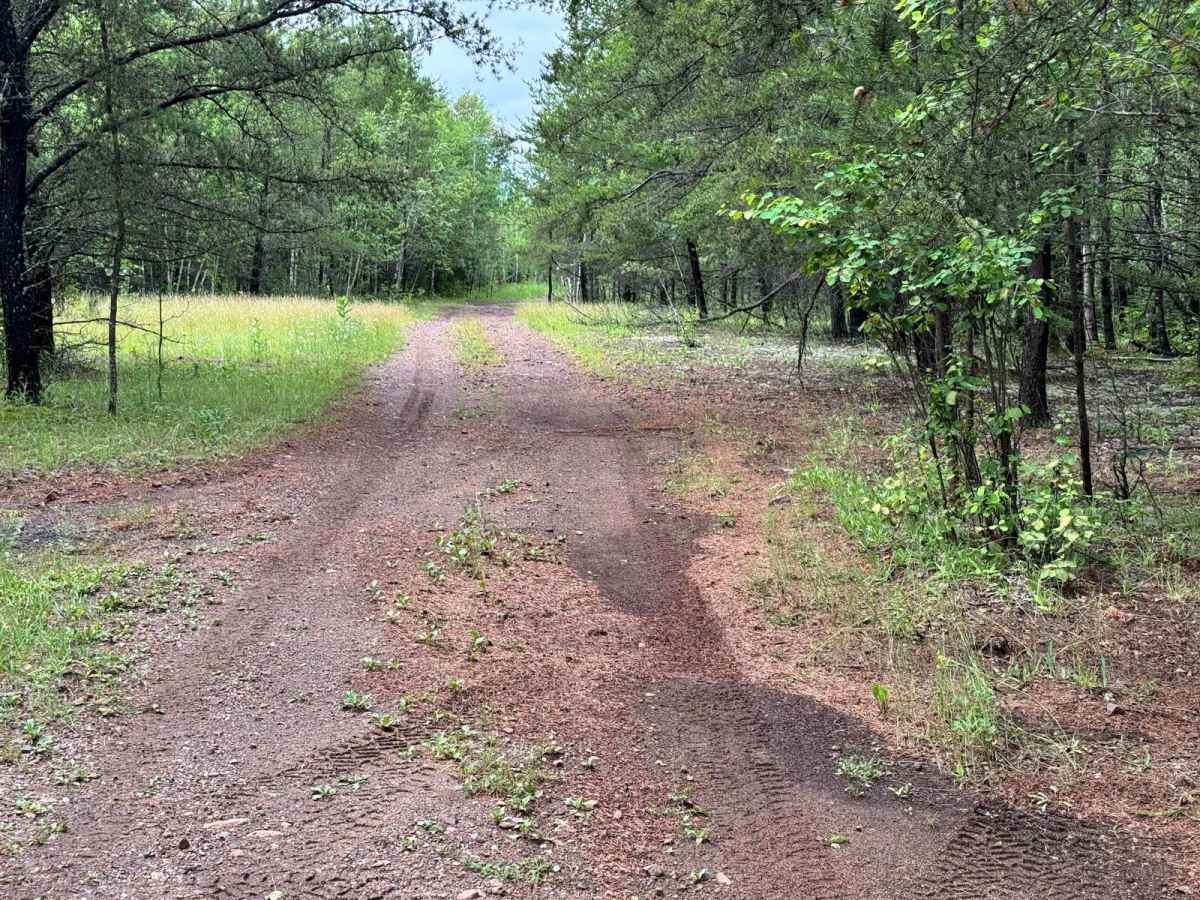 Throttle Therapy trail photo
