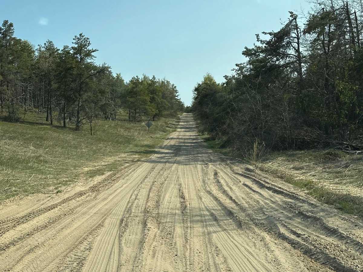FS 1146 photo 5