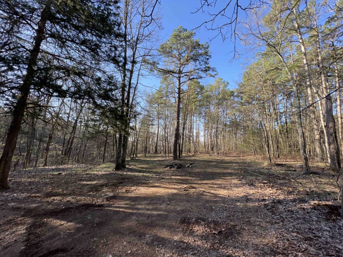 Wilderness Trail photo 6
