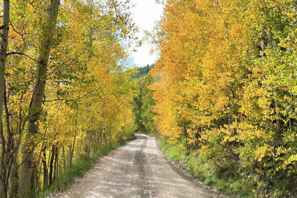 Fish Creek Approach