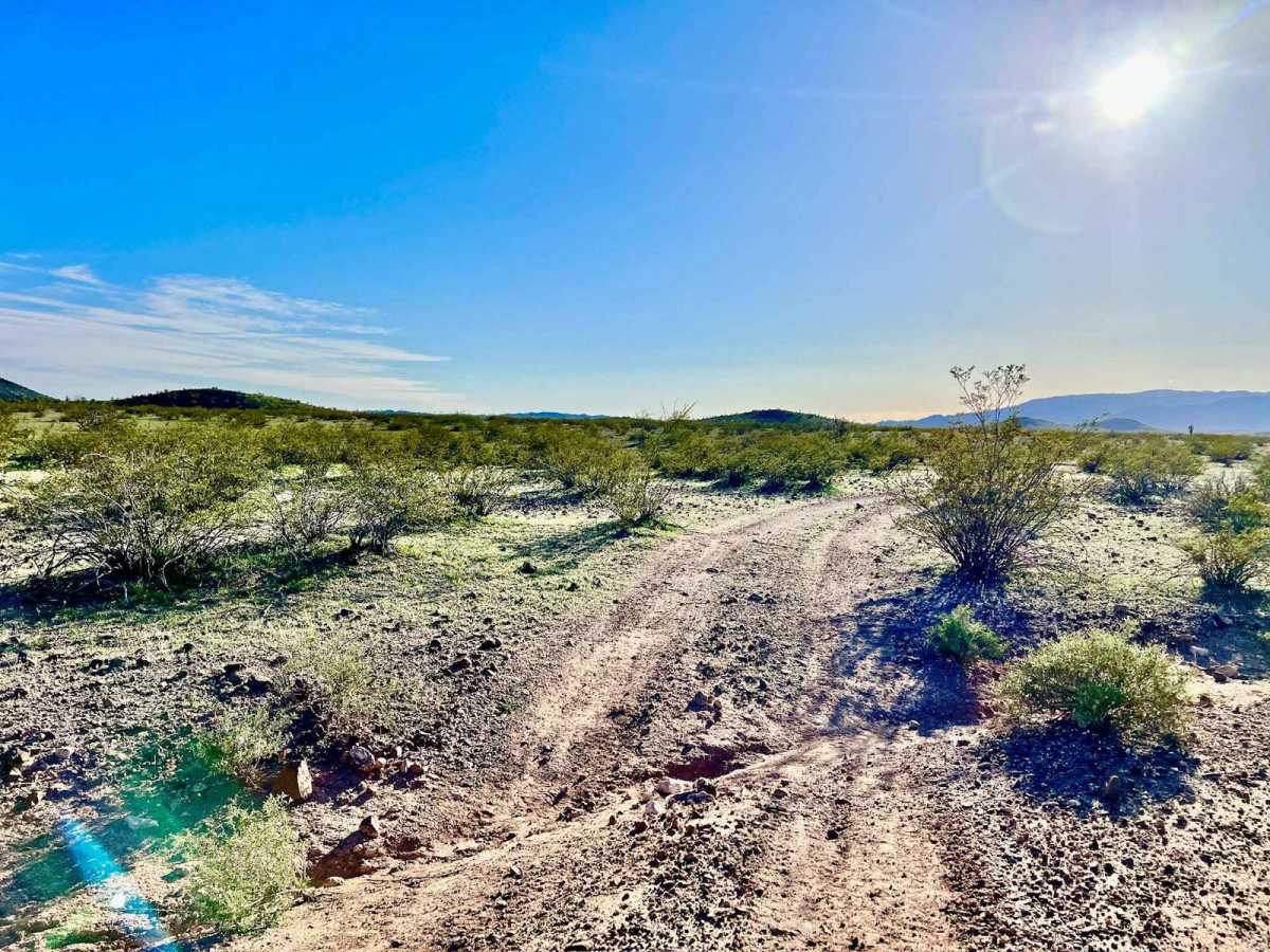Grass Mine Trail photo 3