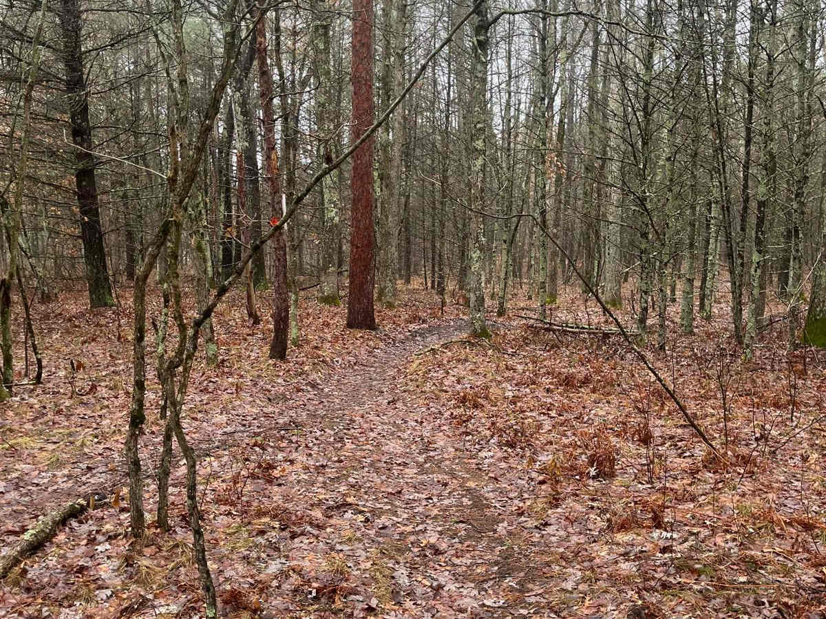 Horseshoe Motorcycle Trail Part 2 photo 2
