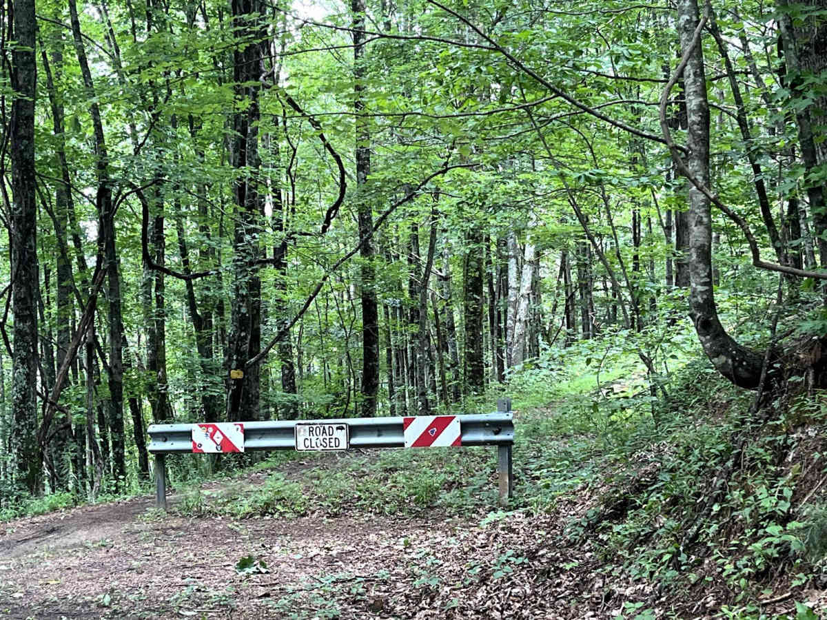 Pinhoti trail photo