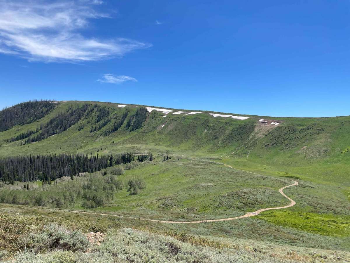 Currant Ridge (FR 70080) trail photo