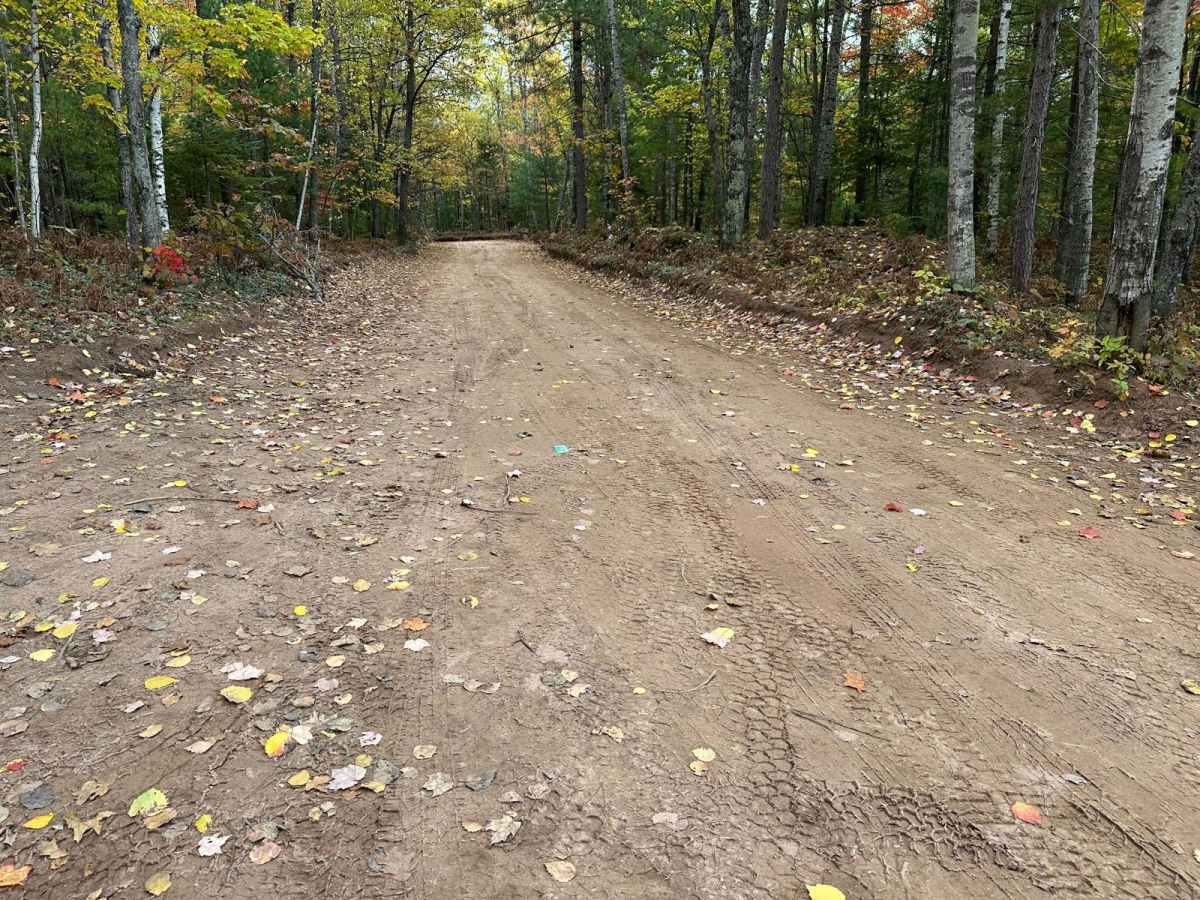 Forestville Road photo 2