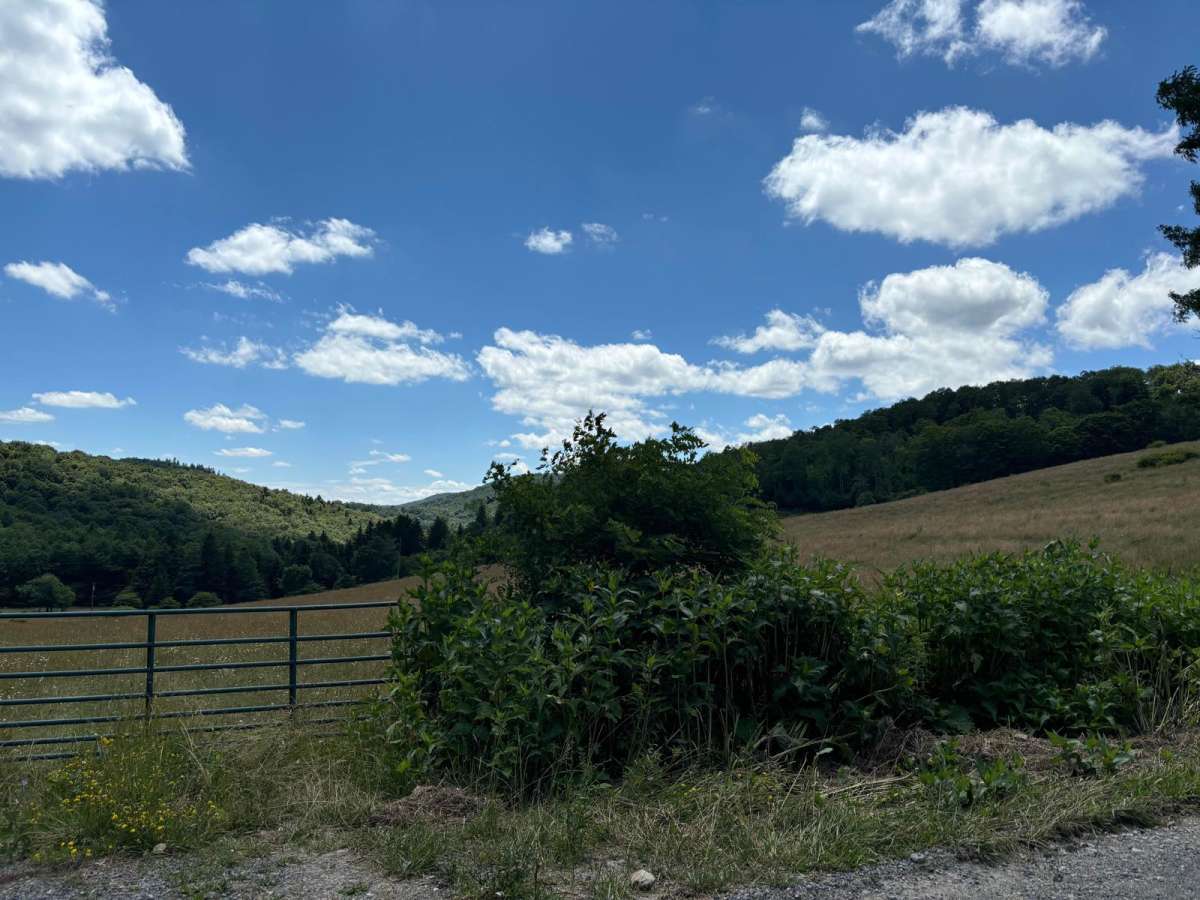 Spruce Mountain Trail trail photo