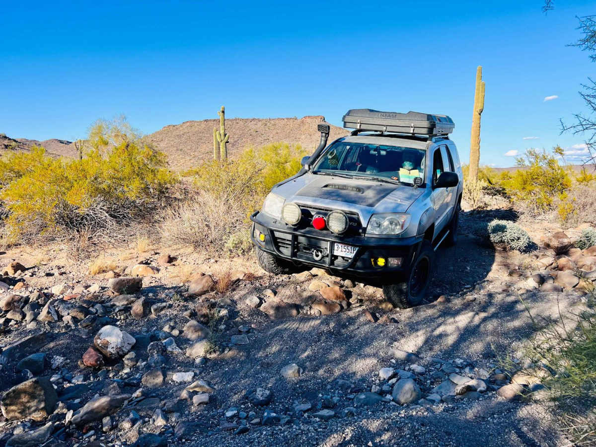 Sunset Cholla Loop photo 5