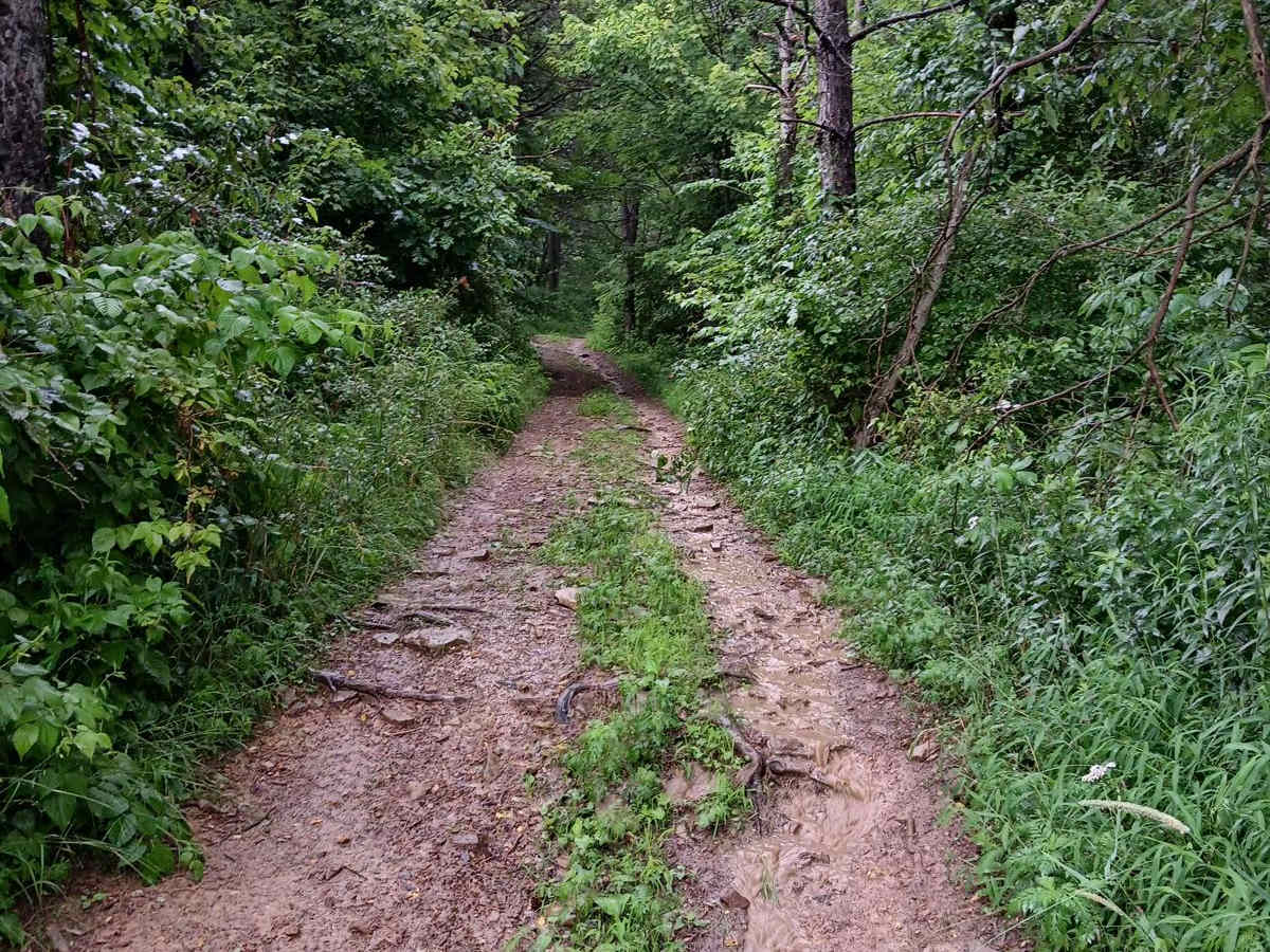 Trail 3C - Rock Run Recreation Area photo 3
