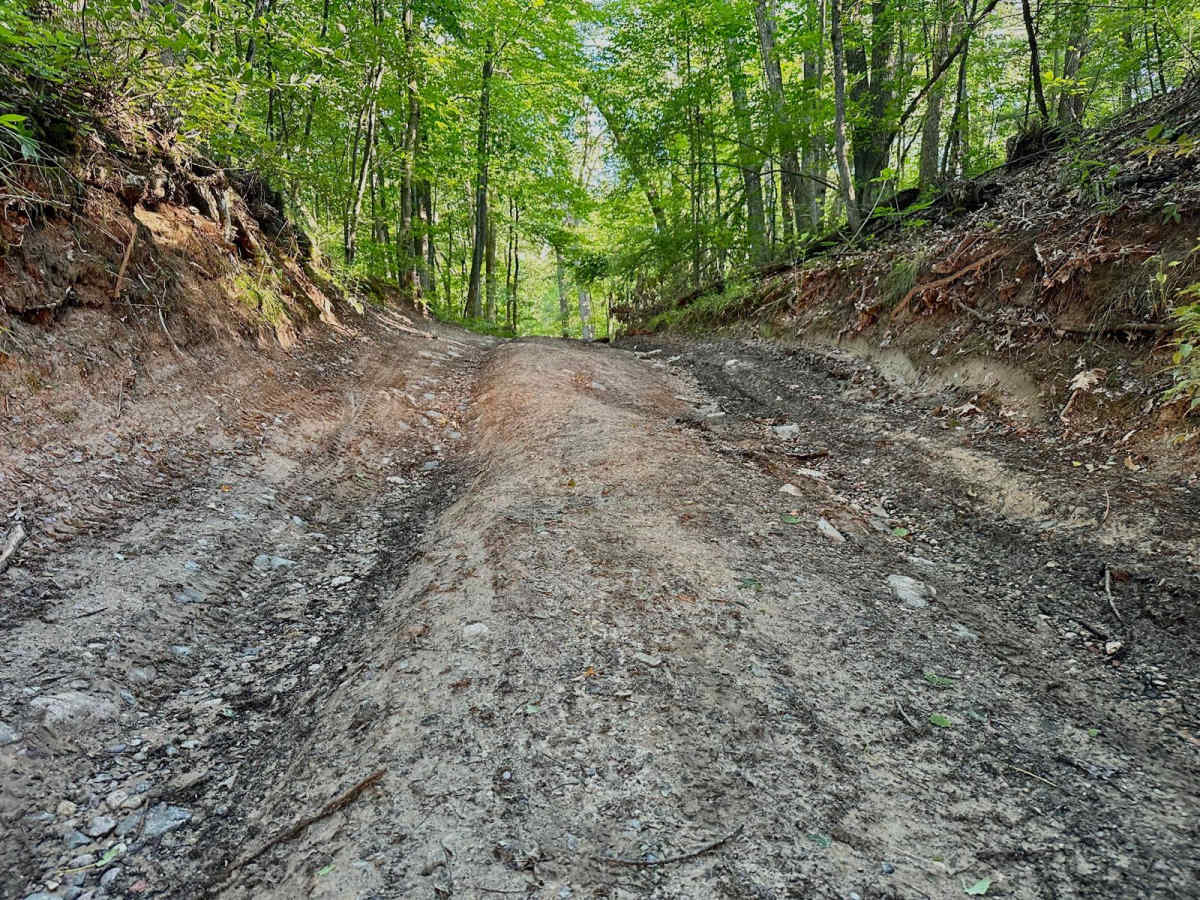 Montcalm Ave Northeast Trail photo 6