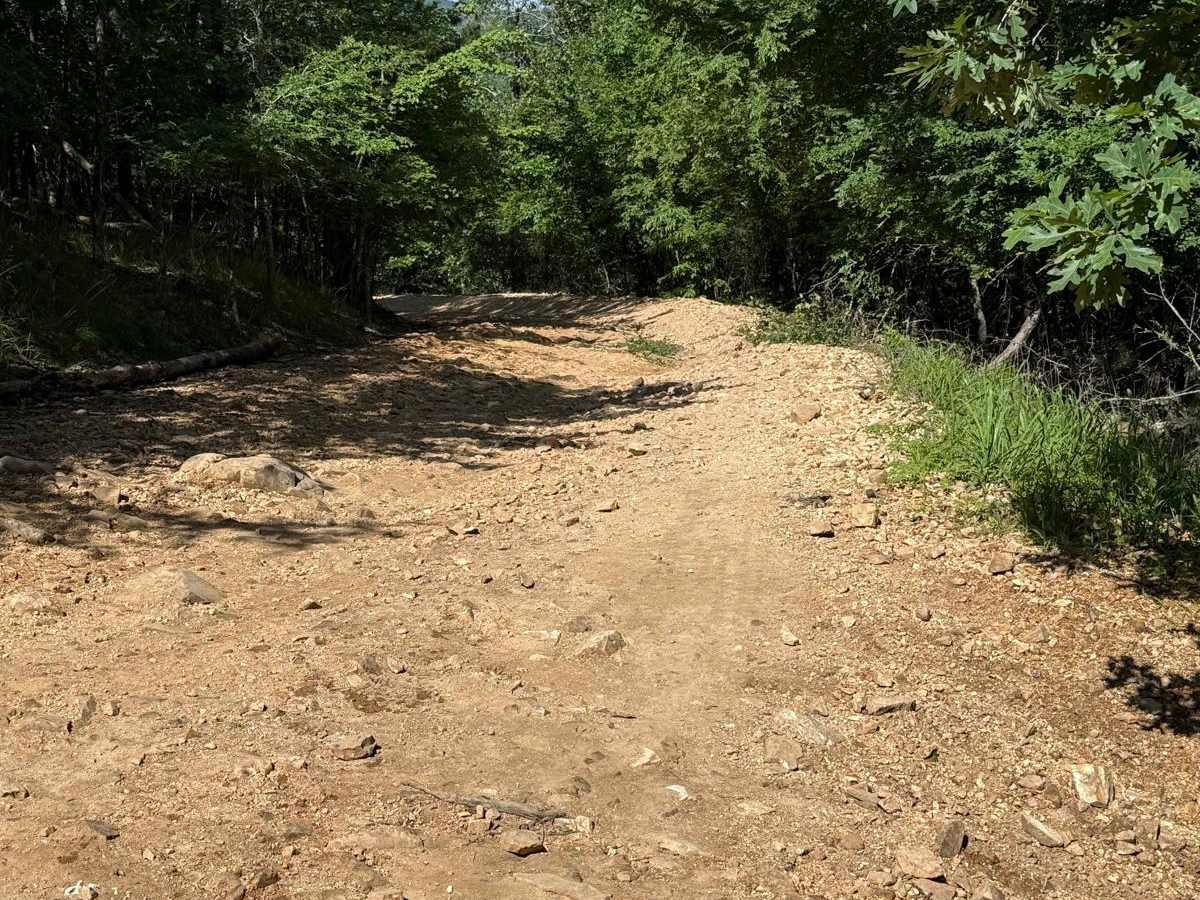 F6 Snake Early Exit photo 6