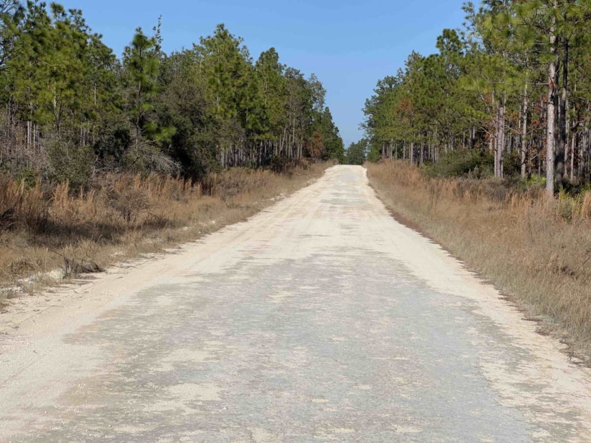 Fort Gates Ferry Road - ONF 29 photo 4