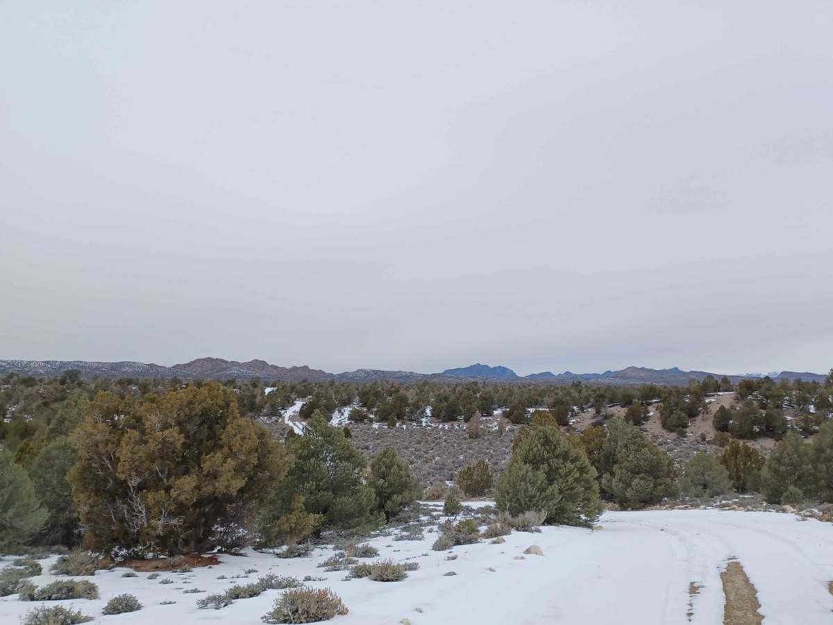 Penoyer Spring Road photo 4