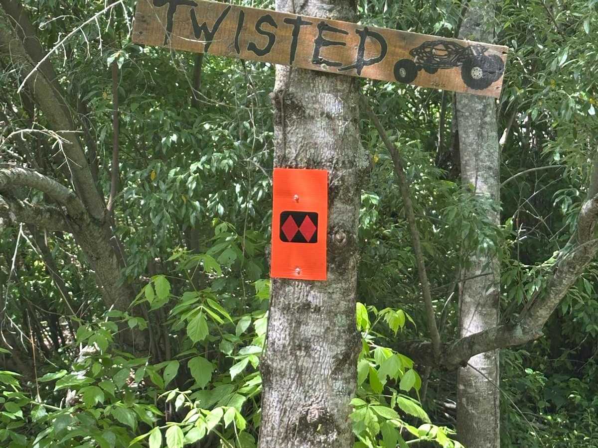 Twisted trail photo