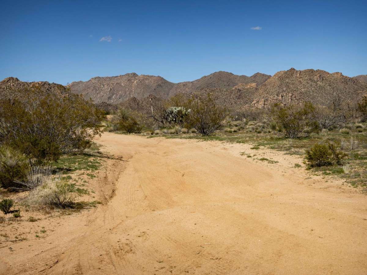 Charlie's Loop trail photo