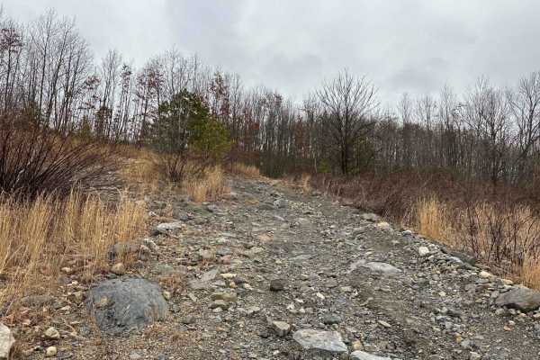 Marion Bridge Trail