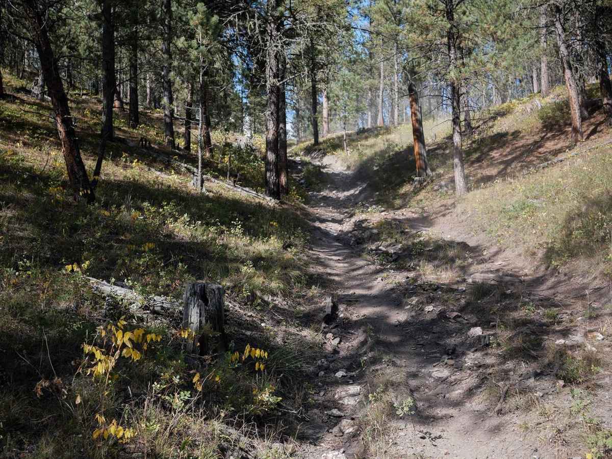 Merritt 6242 photo 3