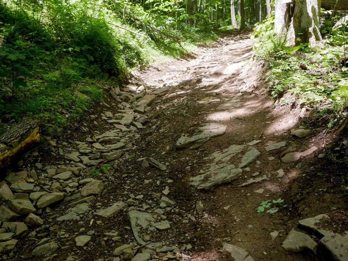 Trail 18 photo 5