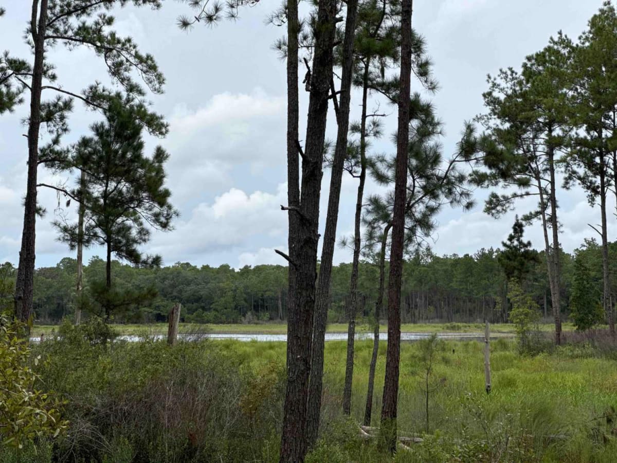 South West Pond Trail - ONF 314 5.7A photo 6