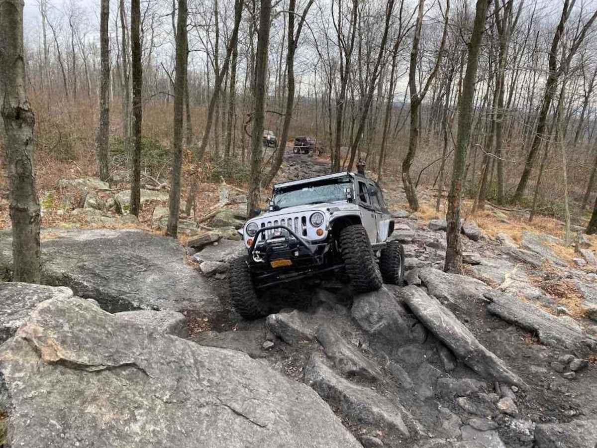 Yellow Jacket Ridge Black photo 2