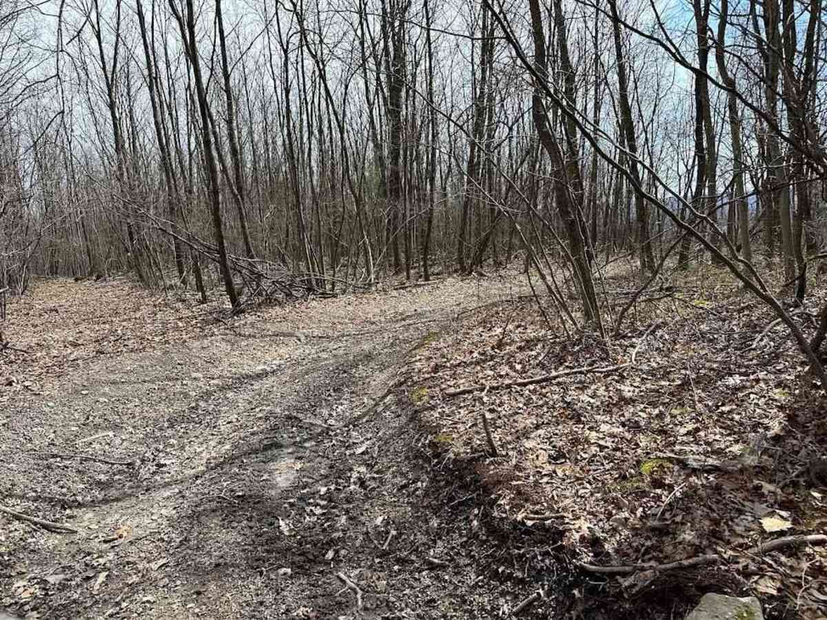 St. Keirns 19 photo 2