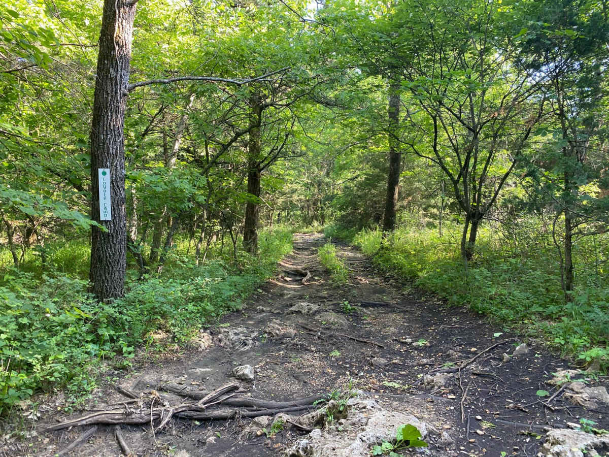 Coyote Camp trail photo