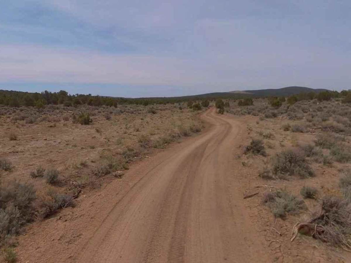 Dixie National Forest-FR30875 photo 5