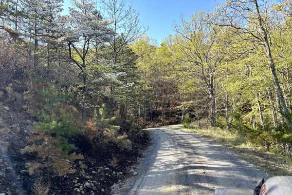 Squirrel Gap Road