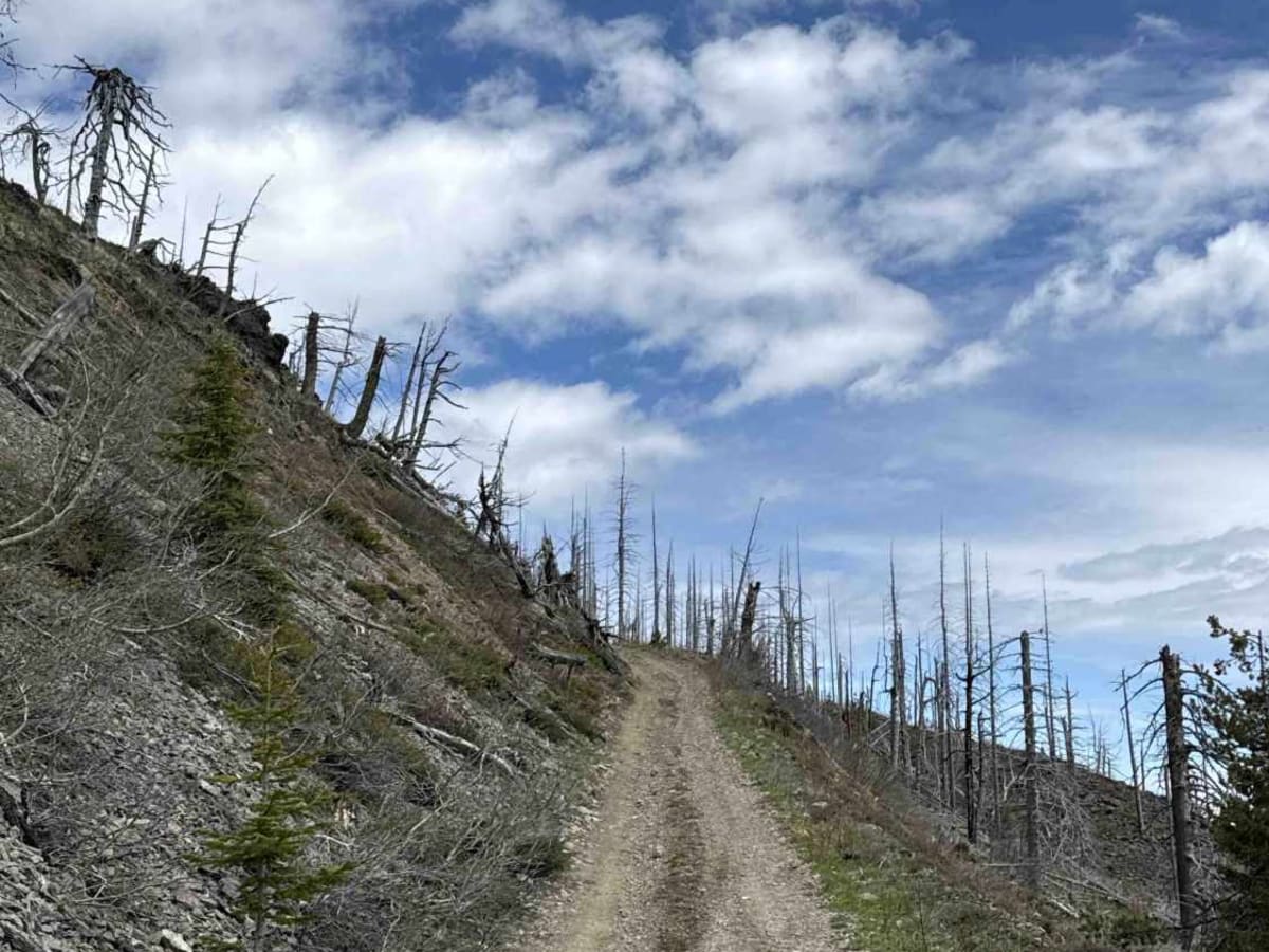 Terrace Mountain Road photo 5