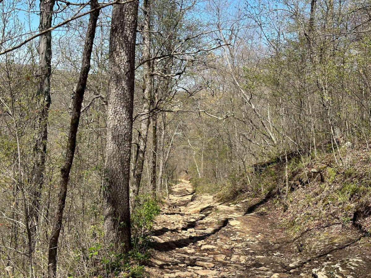 Eureka Springs Hollow 95472B photo 2