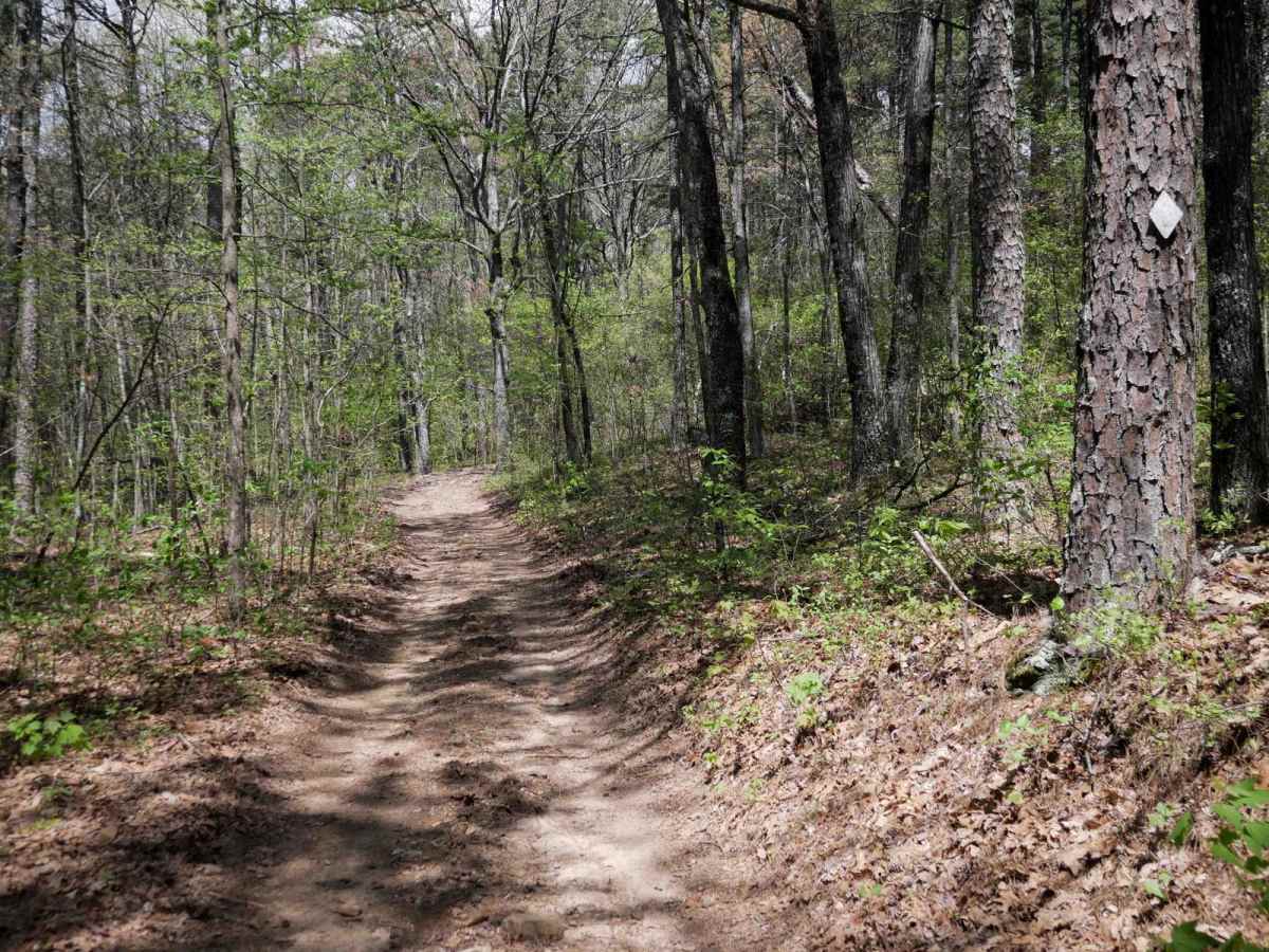 Black Oak Ridge Loop photo 6