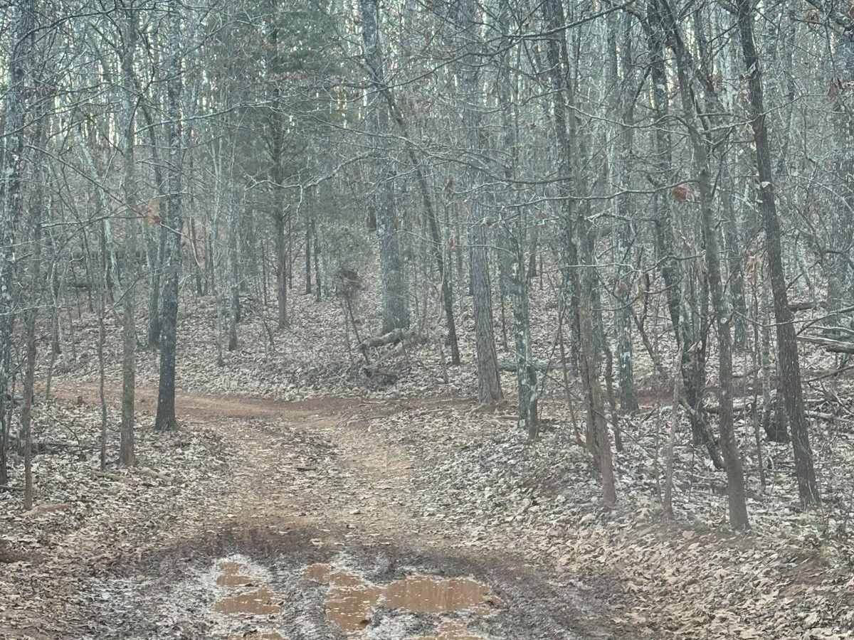 33 trail photo