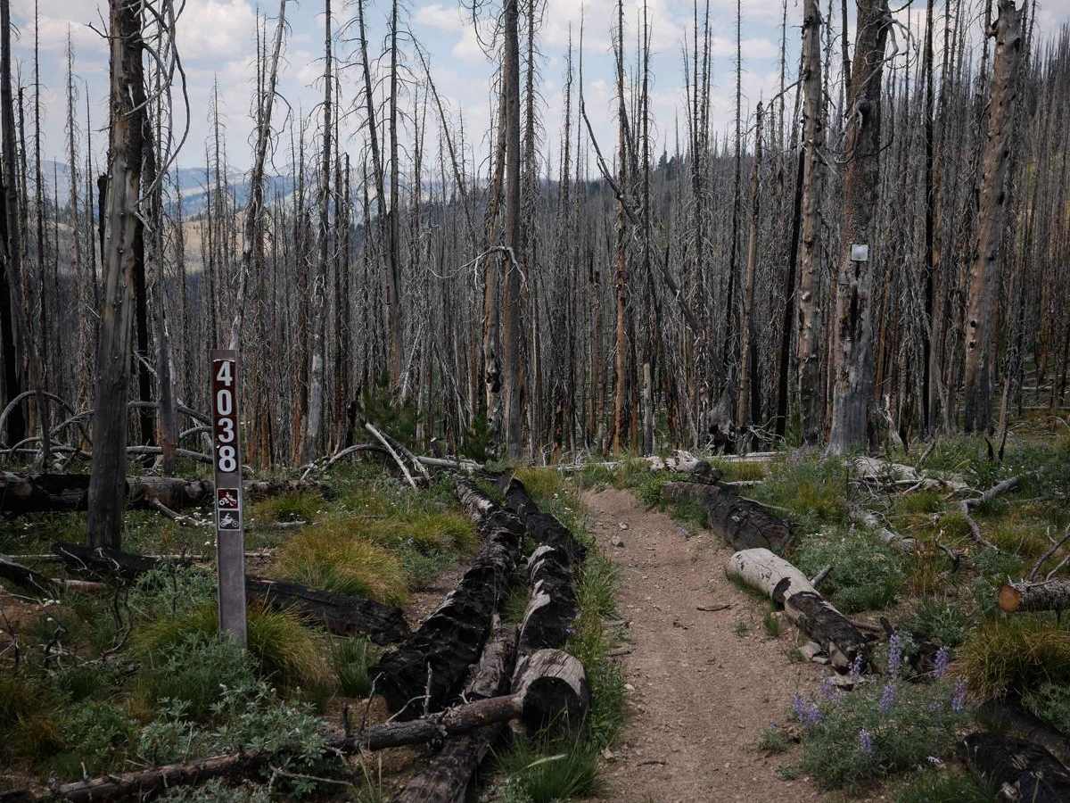 Basin Butte - Prospect Creek trail photo
