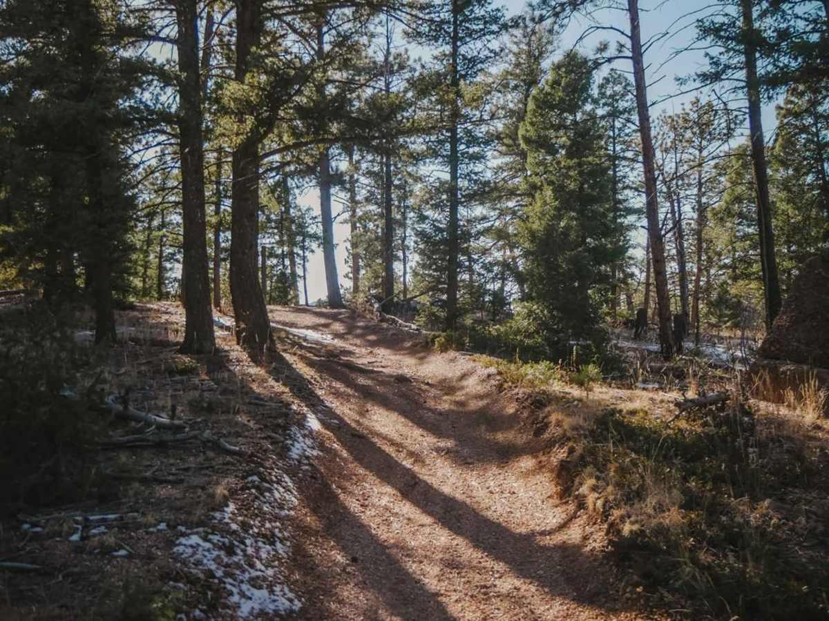 649 Trout Creek ATV Trail photo 3