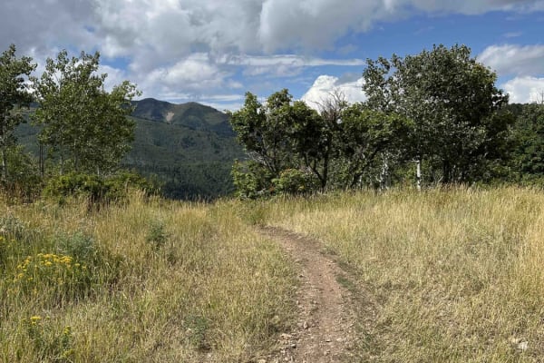 Left Fork Maple Canyon (8006)