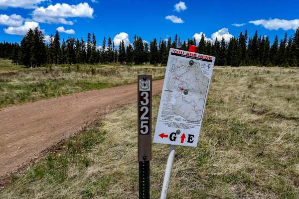 Meadow Divide Road- FSR 325