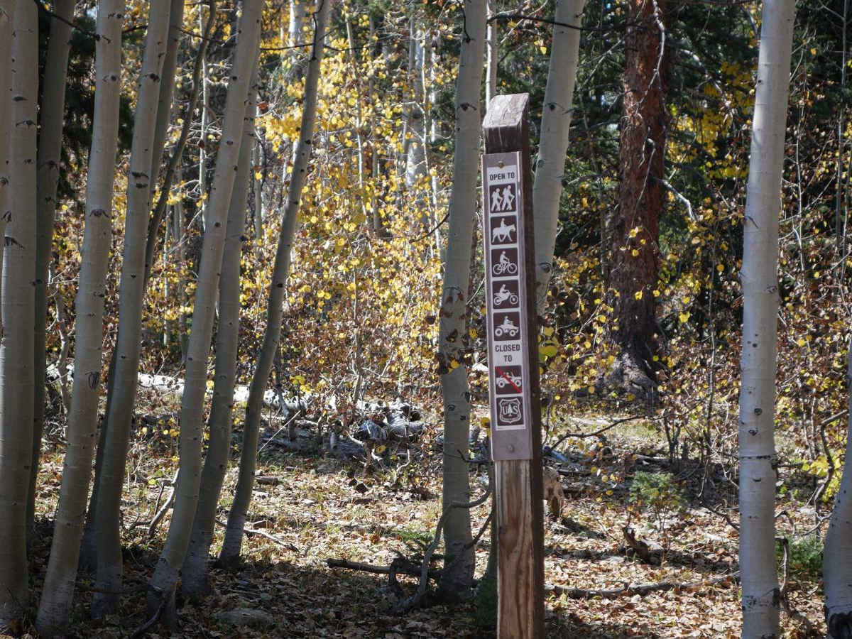 Spring Creek Spur B ATV Trail photo 6